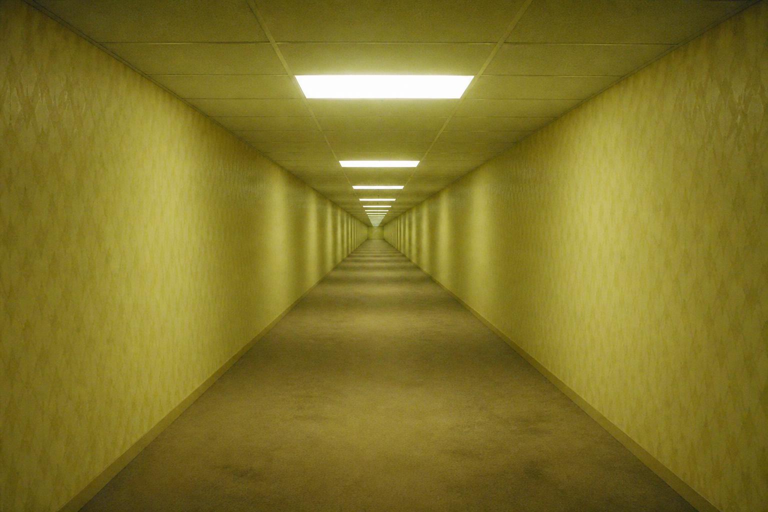 THE ENDLESS HALLWAY — The far end is not getting closer.