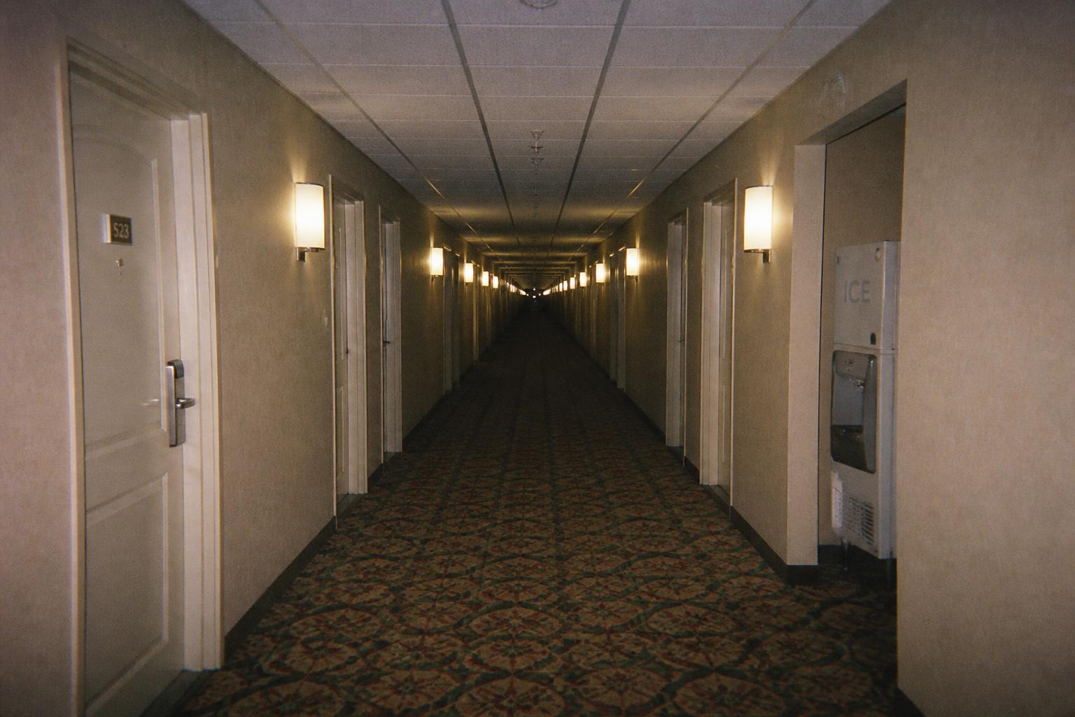 THE HOTEL HALLWAY — Your room is one of these.